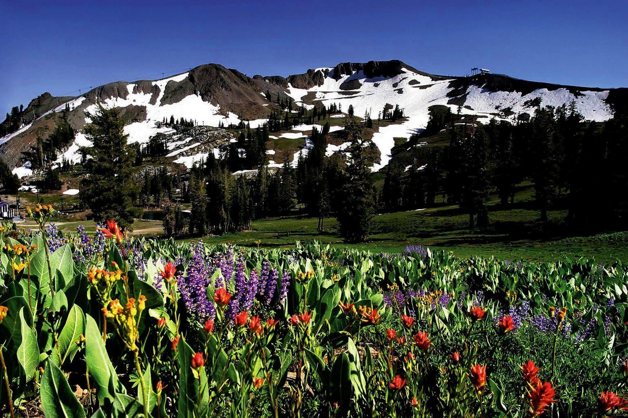 Palisades Tahoe 3* Olympic Valley (Squaw Valley)